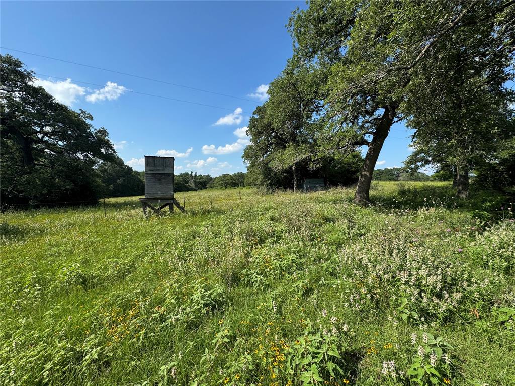 00 County Road 411 Road , Lexington, Texas image 10