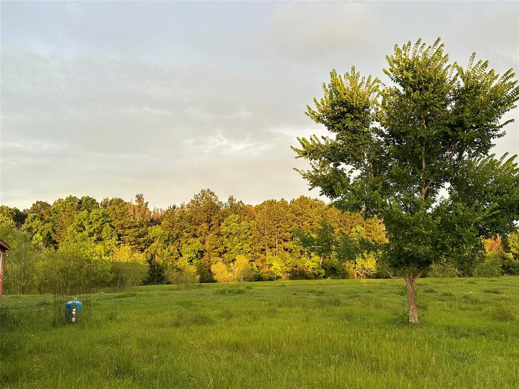 2821 County Road 676  , Dayton, Texas image 8