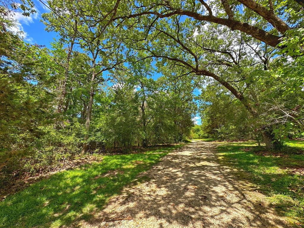 327 Cr 521  , Fairfield, Texas image 31