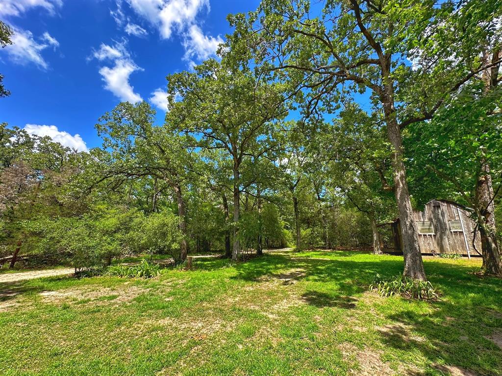 327 Cr 521  , Fairfield, Texas image 32