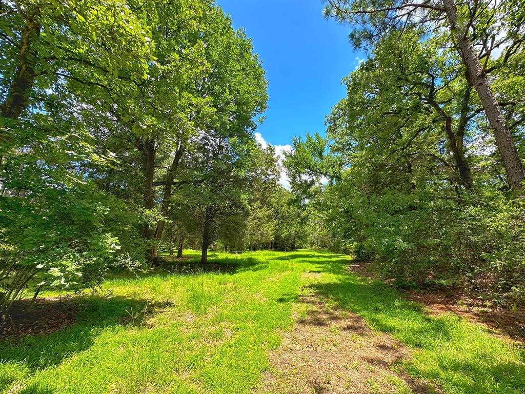 327 Cr 521  , Fairfield, Texas image 34