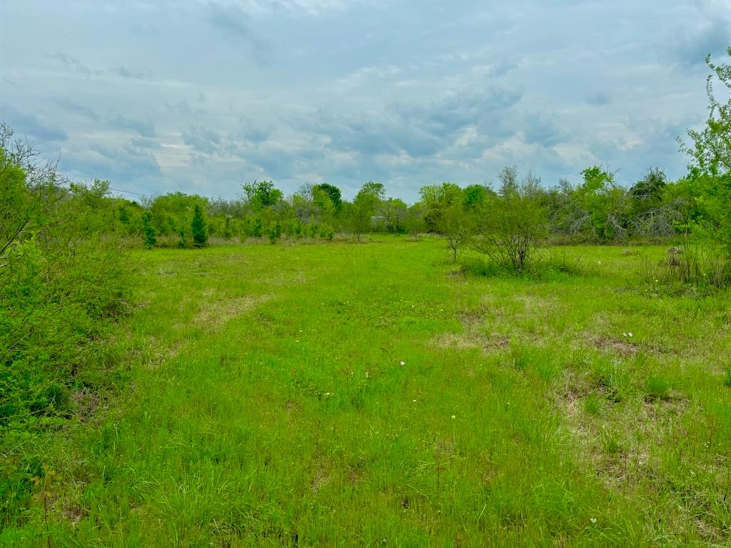 39698 Mt Zion Road , Brookshire, Texas image 42