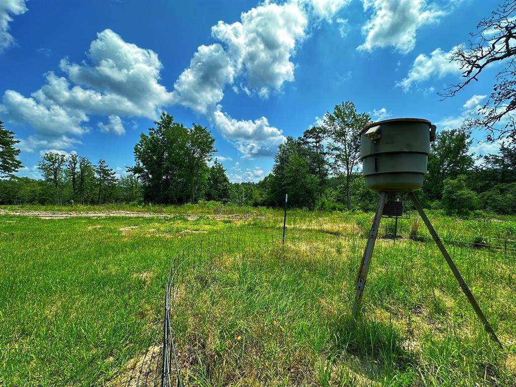 10024 Cr 207  , Oakwood, Texas image 14