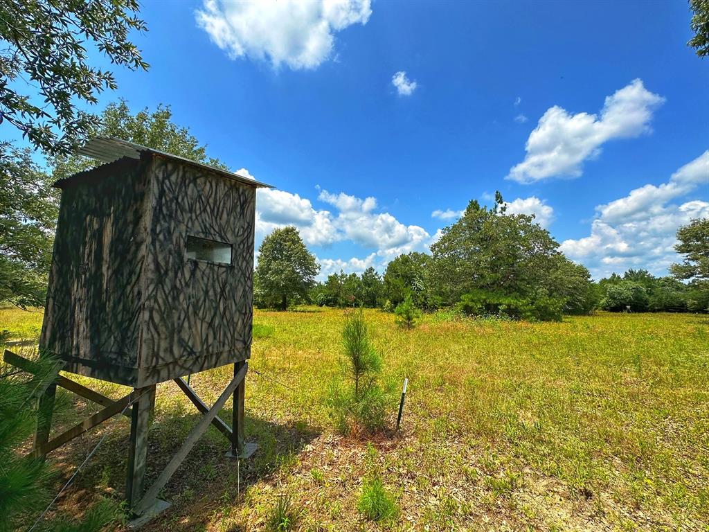 10024 Cr 207  , Oakwood, Texas image 30