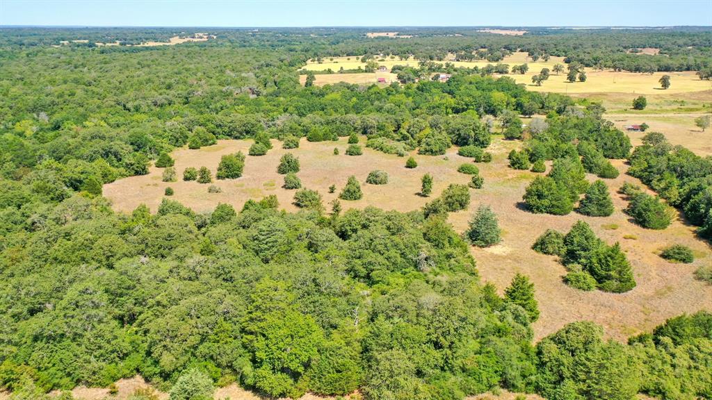 TBD Cr 324 A  , Caldwell, Texas image 11