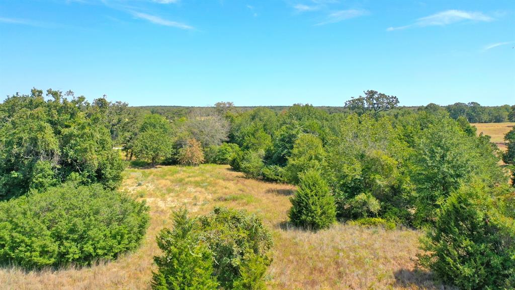 TBD Cr 324 A  , Caldwell, Texas image 13