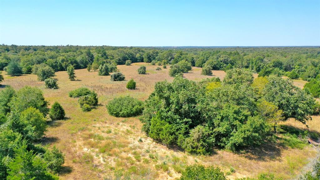 TBD Cr 324 A  , Caldwell, Texas image 14