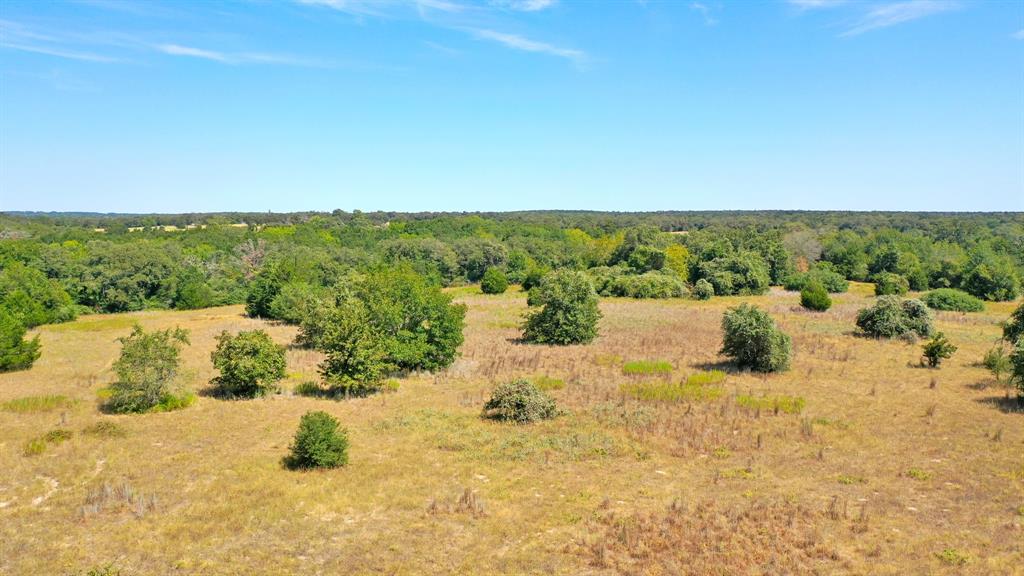 TBD Cr 324 A  , Caldwell, Texas image 21