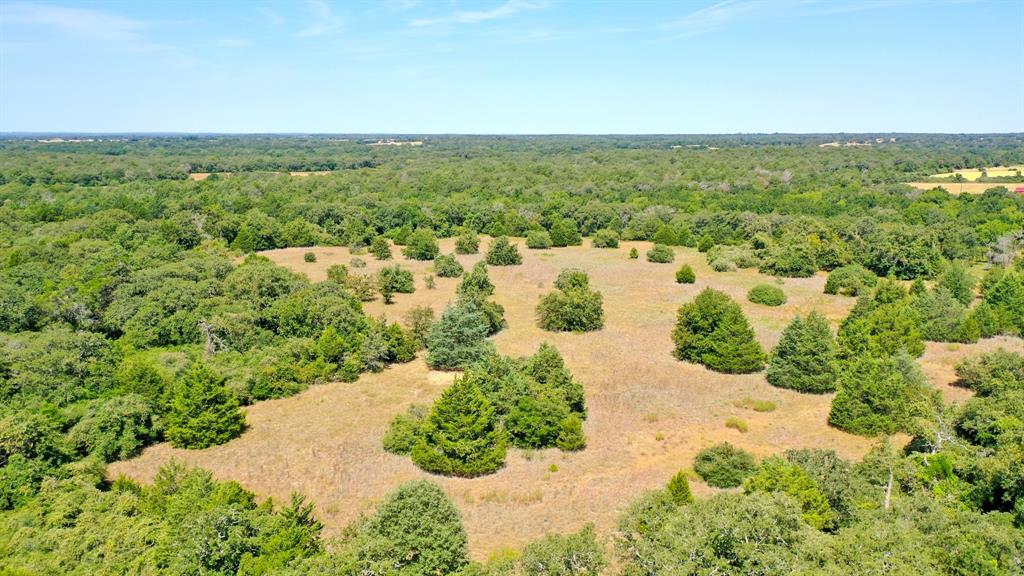 TBD Cr 324 A  , Caldwell, Texas image 10