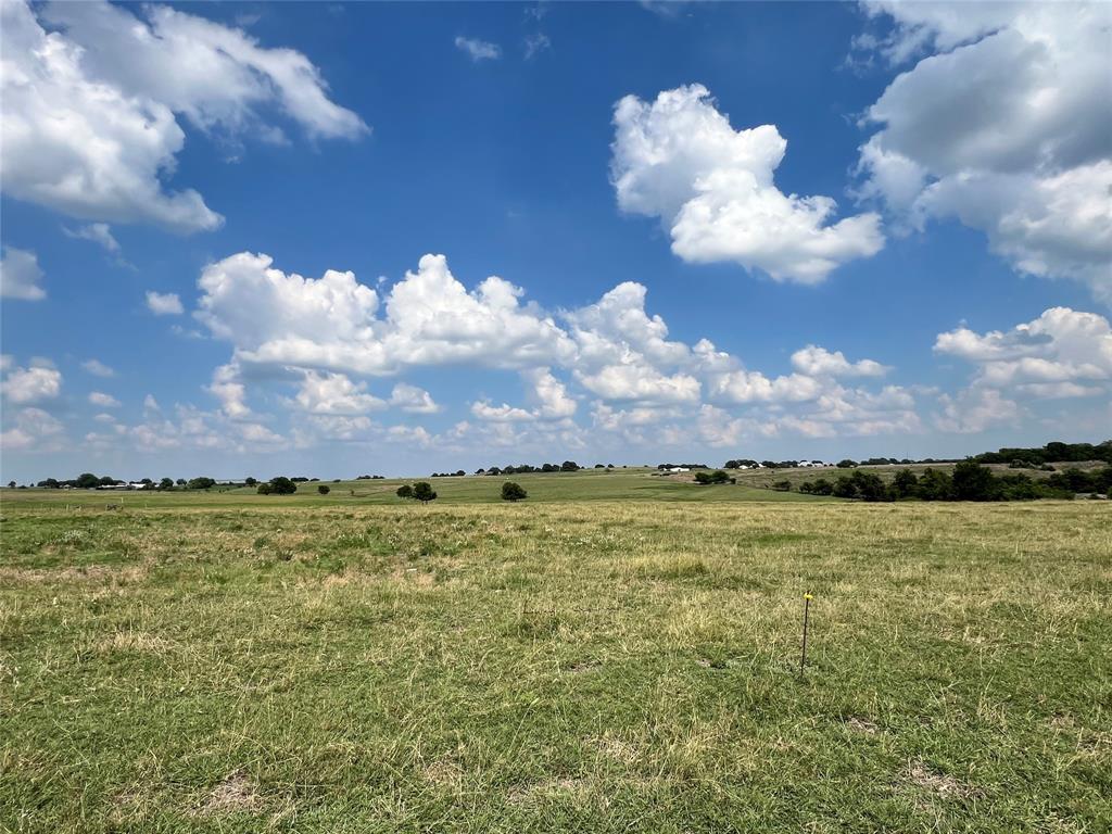 TRACT D And F Fm-50  , Brenham, Texas image 6