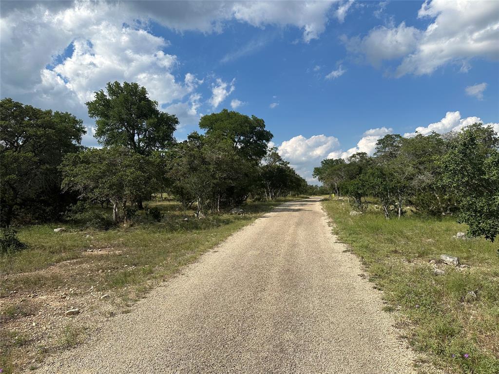 13 acres with Axis on property