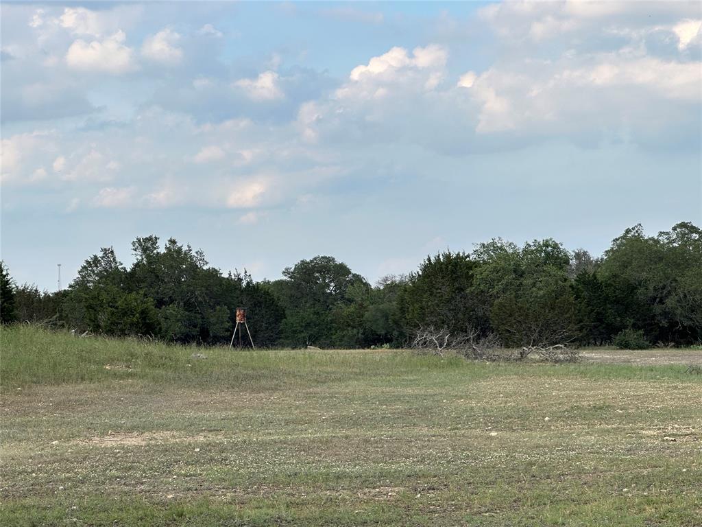 Deer blind and feeder