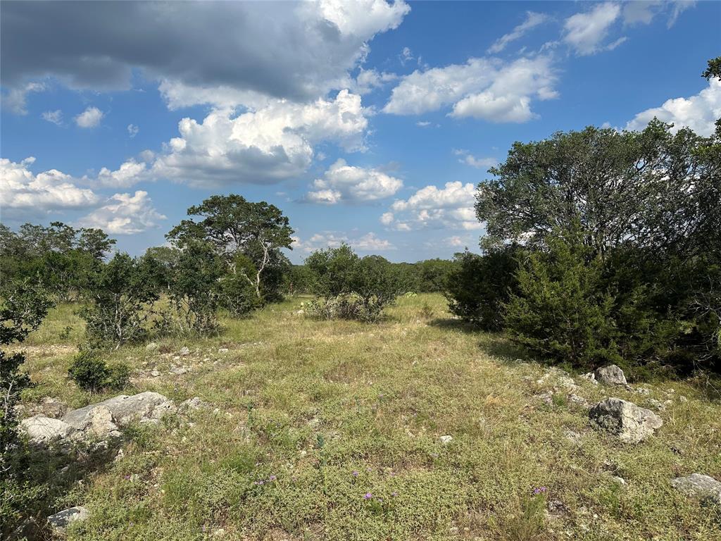 117 Saddle View Drive , Boerne, Texas image 26