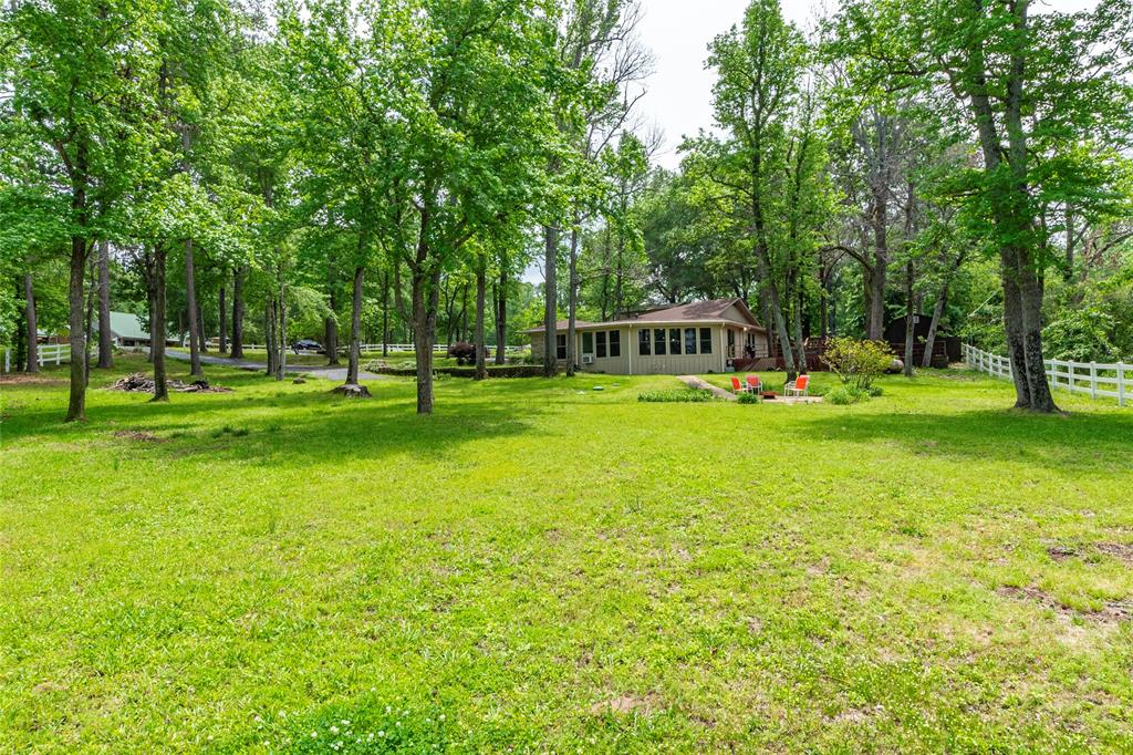 looking back at the house from the lake