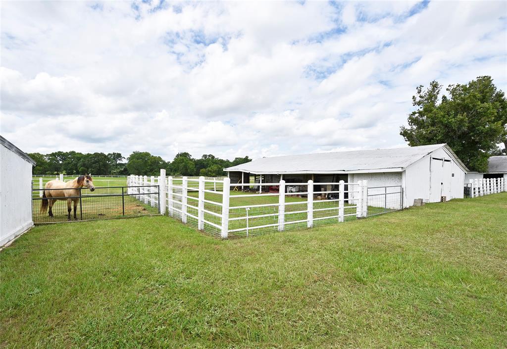 1140 Jones Road , New Waverly, Texas image 38