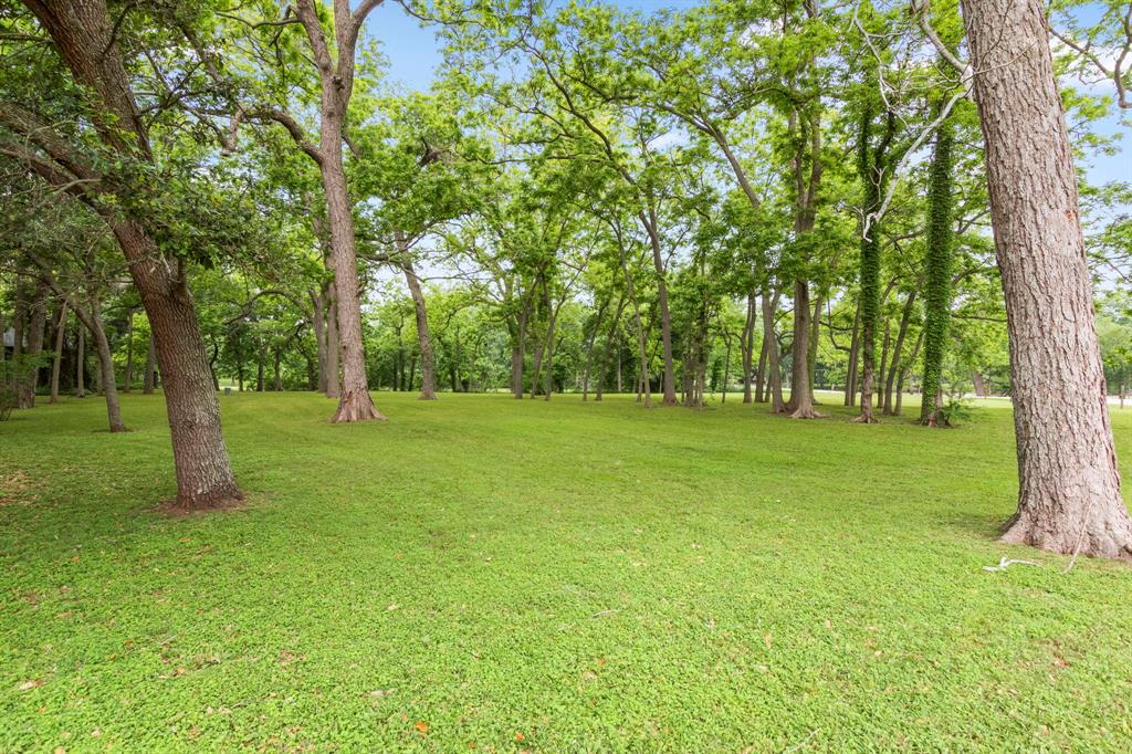 Gorgeous shade trees and lush green pastures for your horses or livestock.