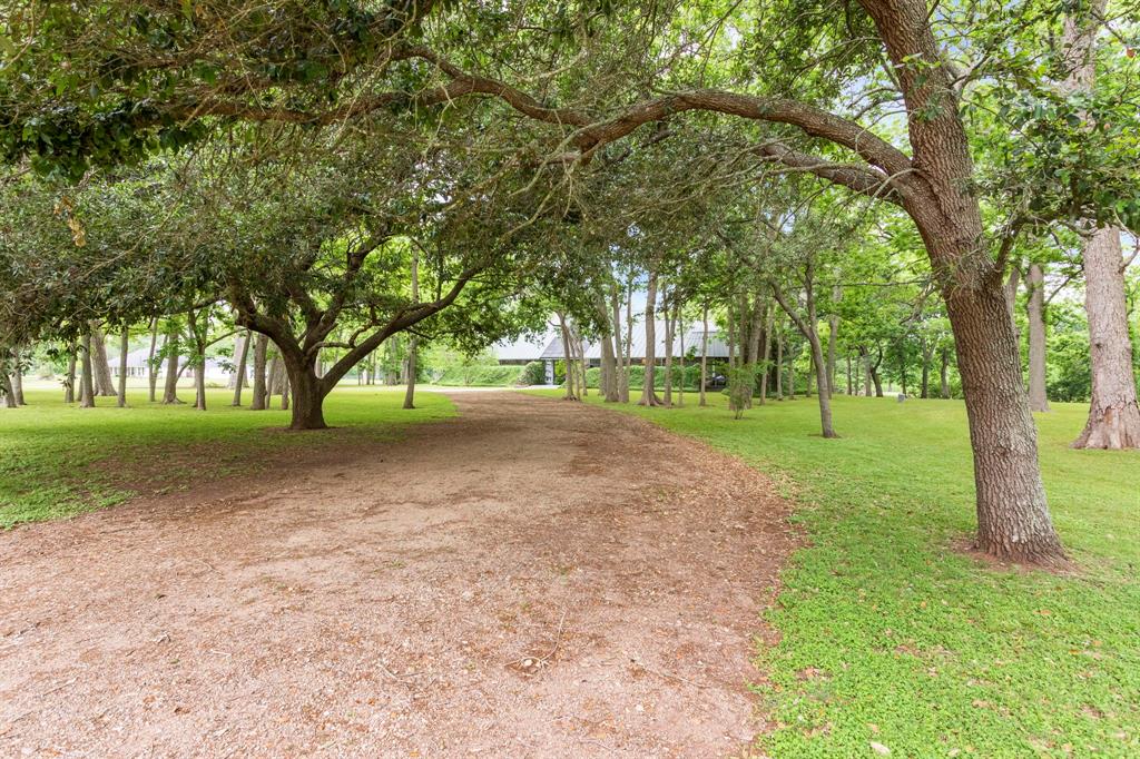 This scenic shady lane serves as the circular driveway.