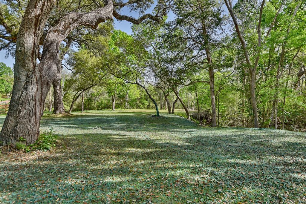 1000 Kneip Rd - Lot  , Round Top, Texas image 9