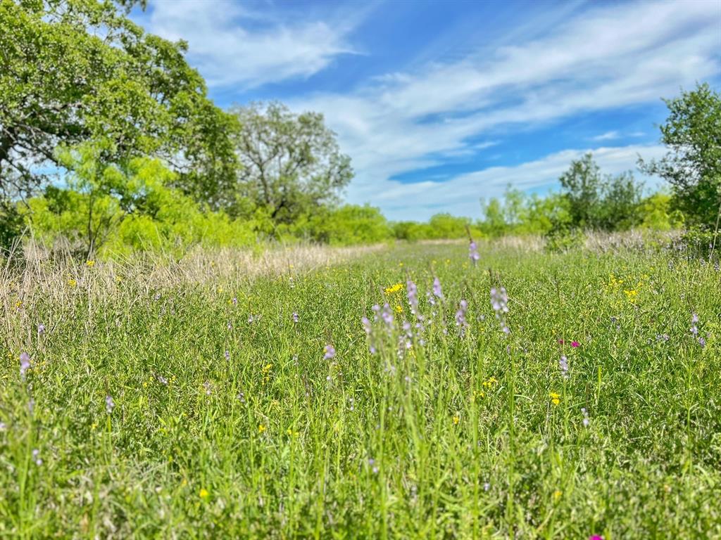 15100 Cr 129  , brownwood, Texas image 14