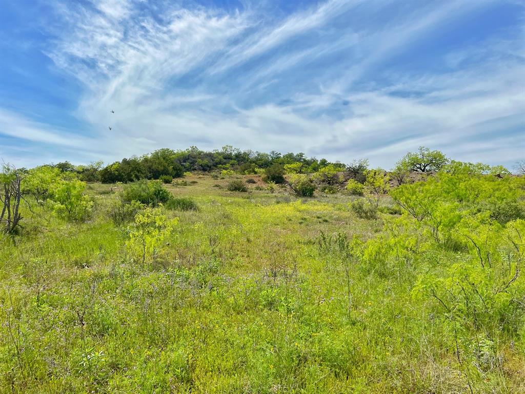 15100 Cr 129  , brownwood, Texas image 18