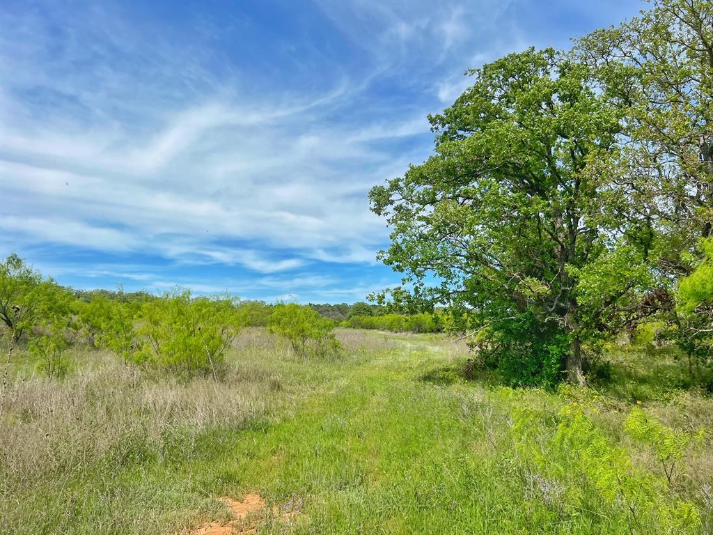 15100 Cr 129  , brownwood, Texas image 22