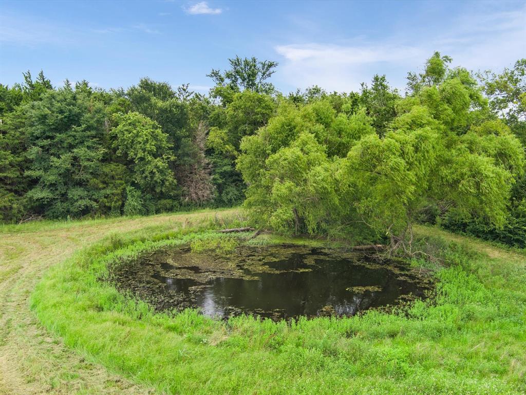 One of the multiple ponds surrounded by lush greenery and trees under a blue sky with white clouds.