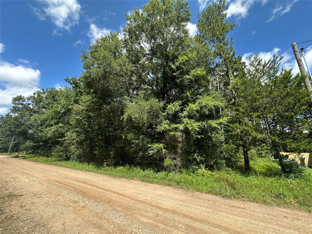 TBD Cloverleaf Lane , Livingston, Texas image 4