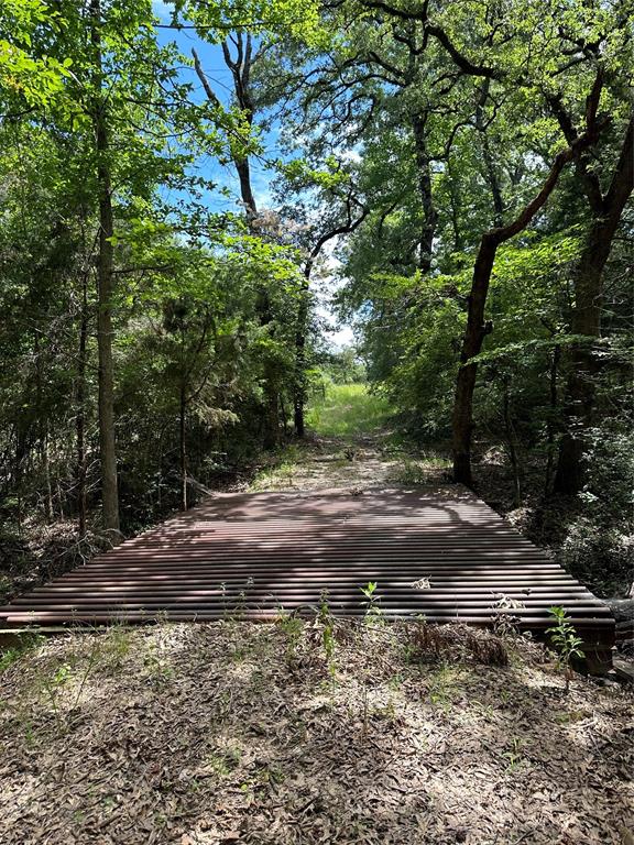 3244 An County Road 468  , Montalba, Texas image 40