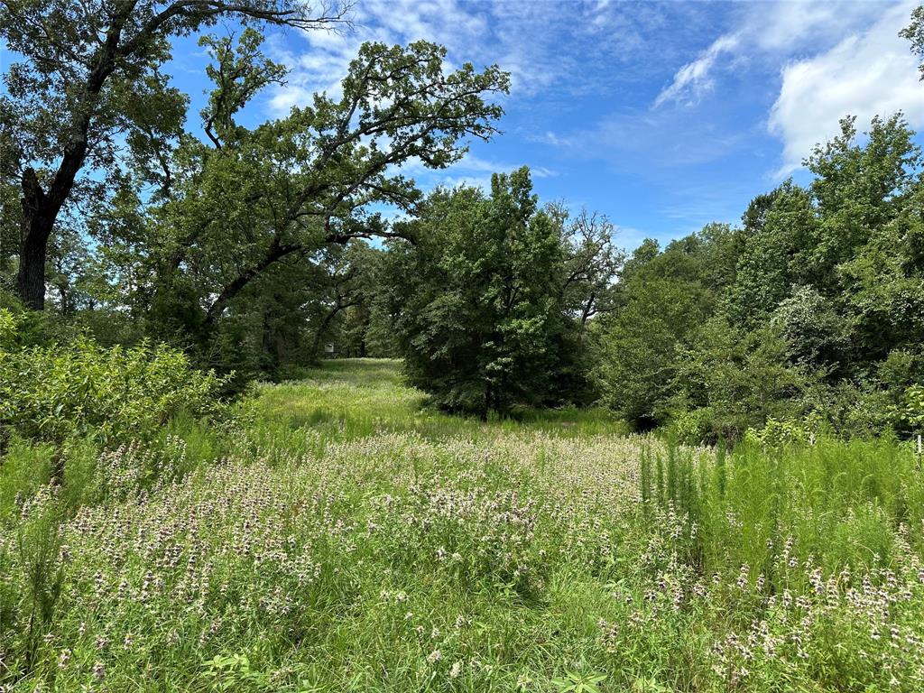 3244 An County Road 468  , Montalba, Texas image 42