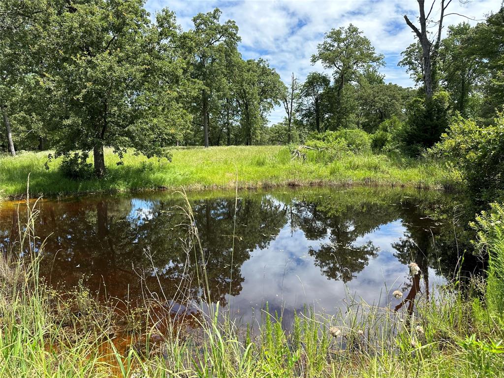 3244 An County Road 468  , Montalba, Texas image 43