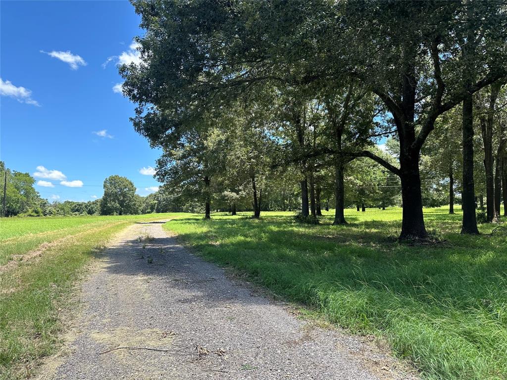 3244 An County Road 468  , Montalba, Texas image 44