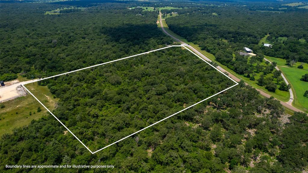 TBD County Road 316  , Caldwell, Texas image 14