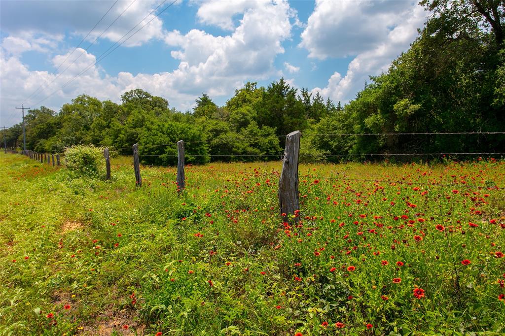 TBD County Road 316  , Caldwell, Texas image 17