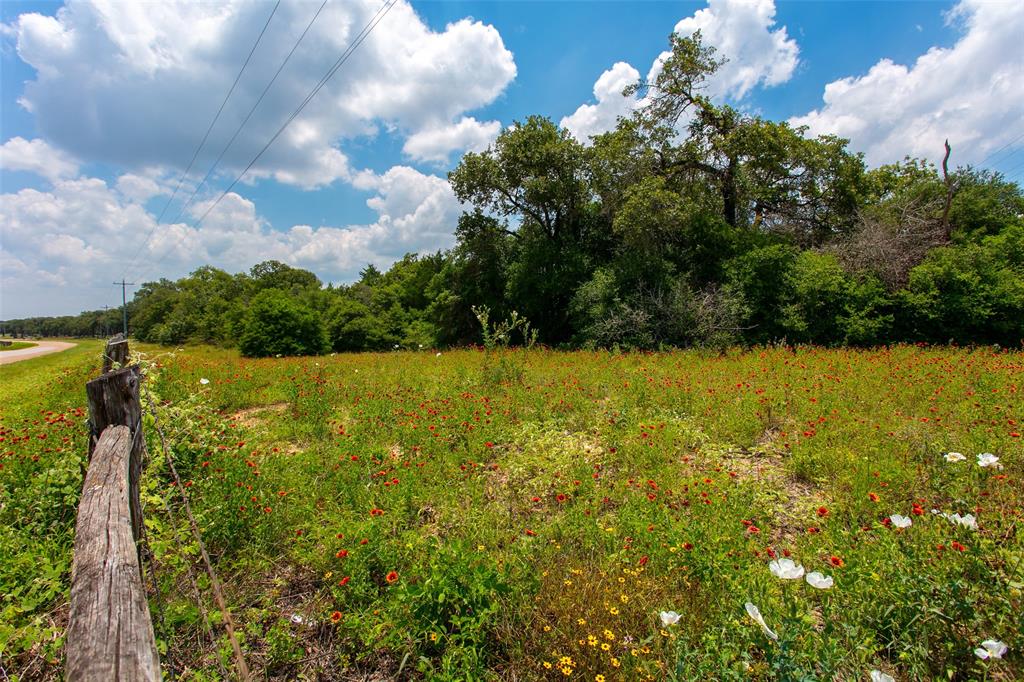 TBD County Road 316  , Caldwell, Texas image 4