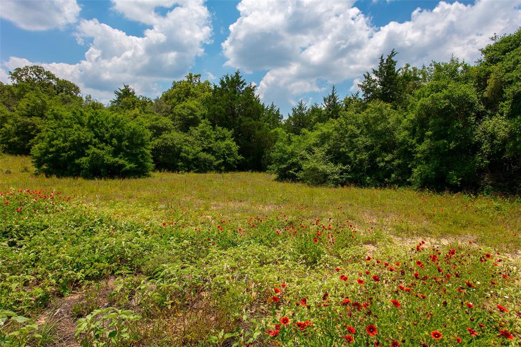 TBD County Road 316  , Caldwell, Texas image 5