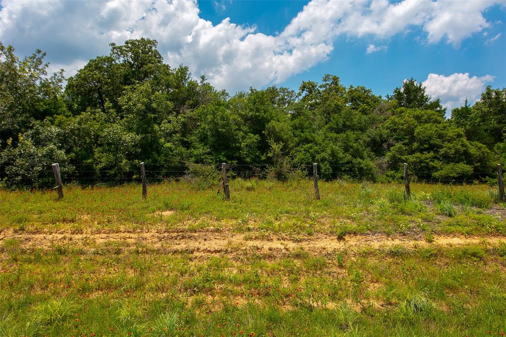 TBD County Road 316  , Caldwell, Texas image 6