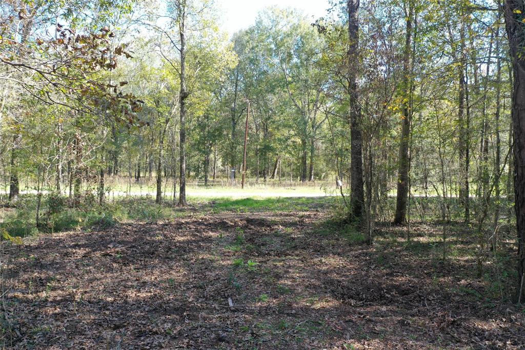 Buck Creek Road , Shepherd, Texas image 12