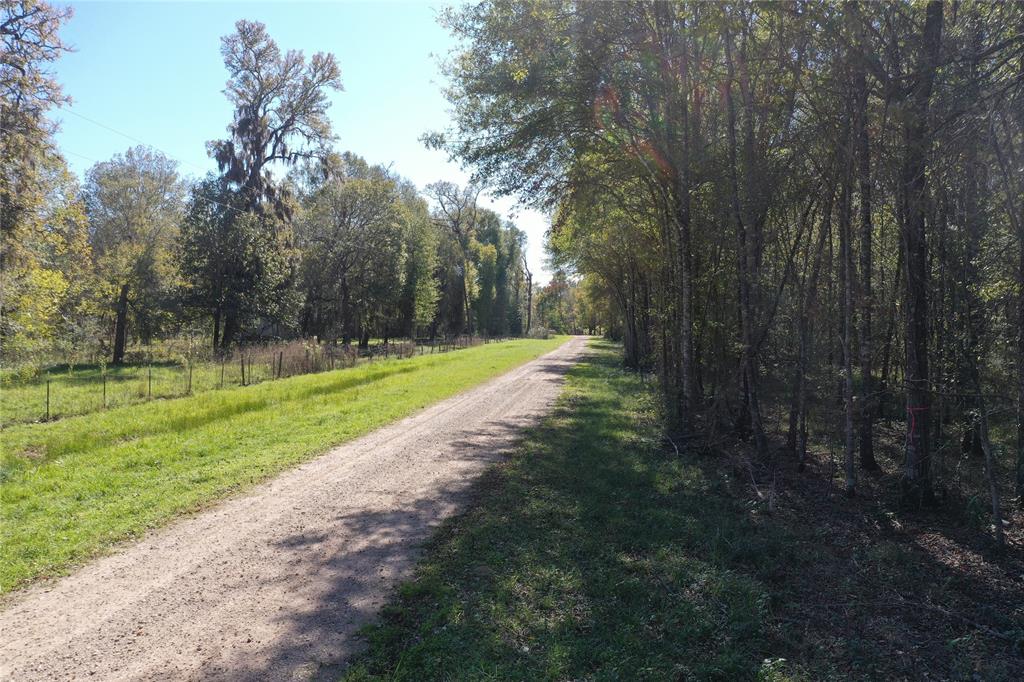 Buck Creek Road , Shepherd, Texas image 13