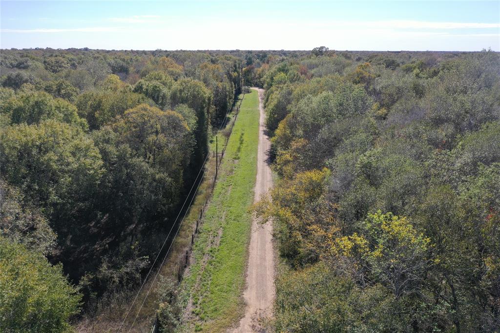 Buck Creek Road , Shepherd, Texas image 14