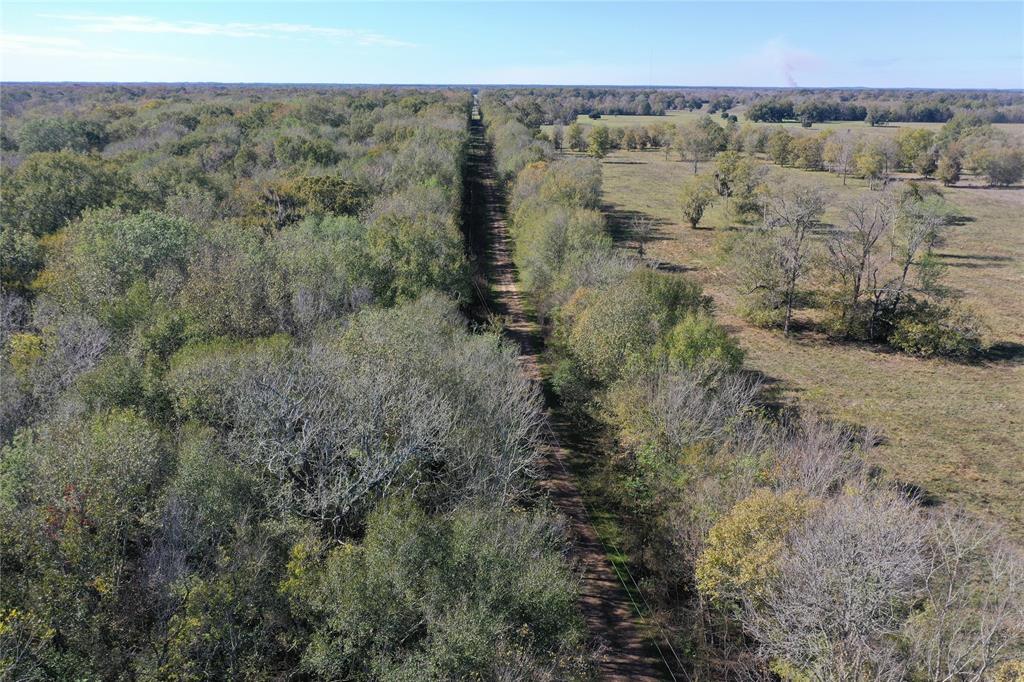 Buck Creek Road , Shepherd, Texas image 15