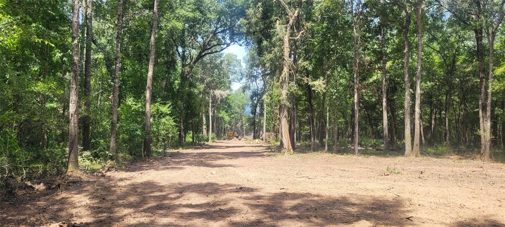 Buck Creek Road , Shepherd, Texas image 18