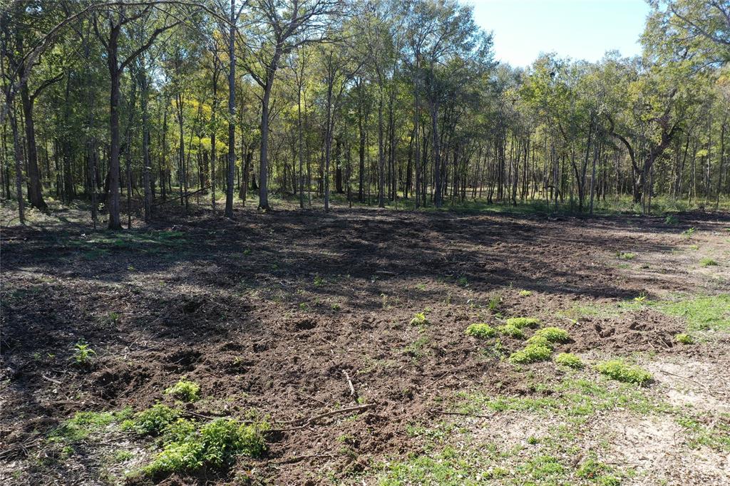 Buck Creek Road , Shepherd, Texas image 8