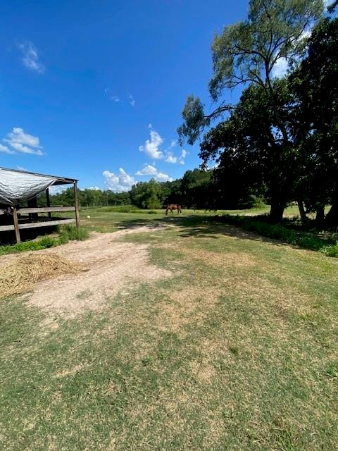 2750 Bob Mathews  , Bedias, Texas image 4