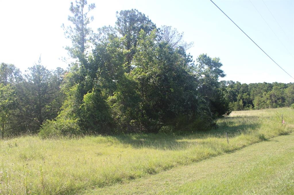 Flag to the right is the front right corner of the property.