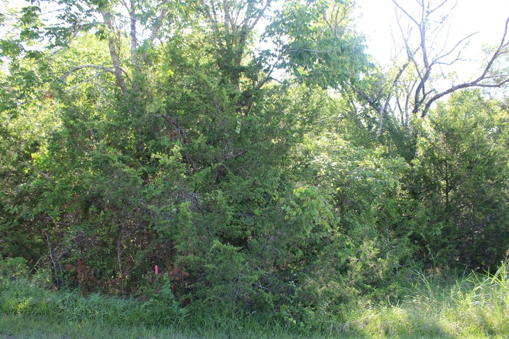 The pink flag towards the bottom left is where the property has been surveyed. This is the front left of the property.