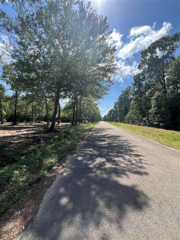 TBD Lot 3 Deerwood Drive , Plantersville, Texas image 4