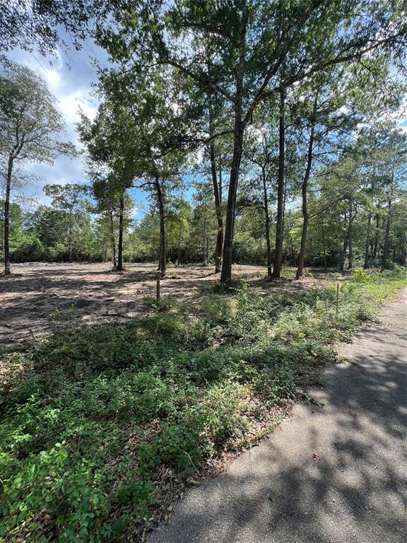 TBD Lot 3 Deerwood Drive , Plantersville, Texas image 6