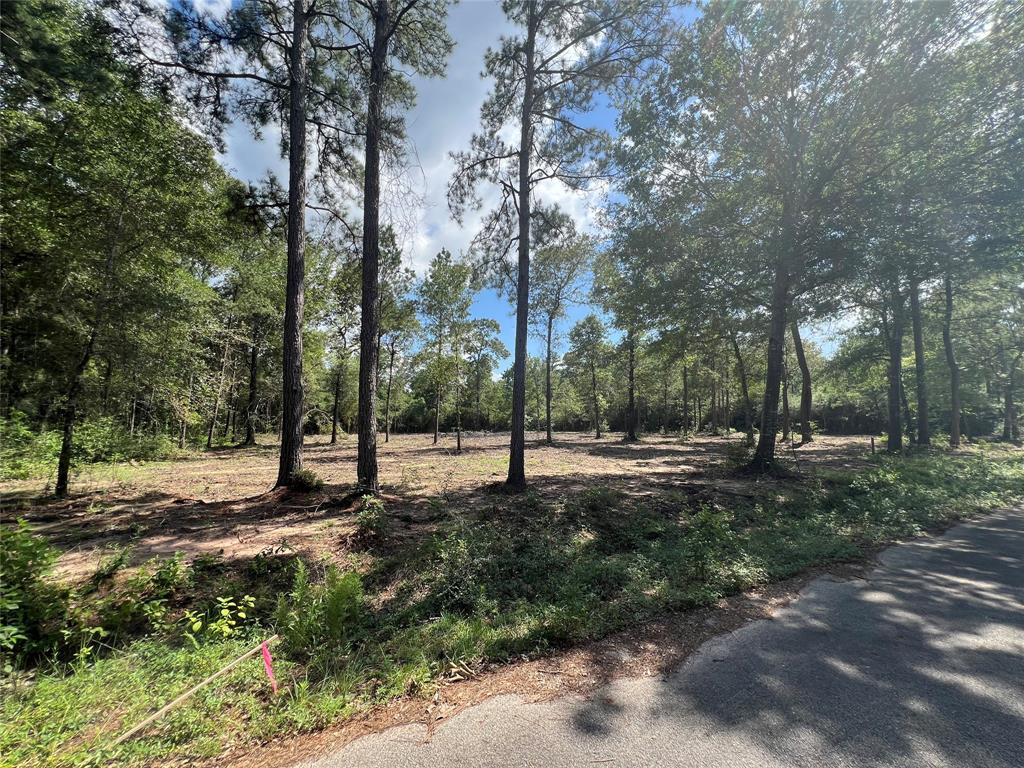 TBD Lot 3 Deerwood Drive , Plantersville, Texas image 8