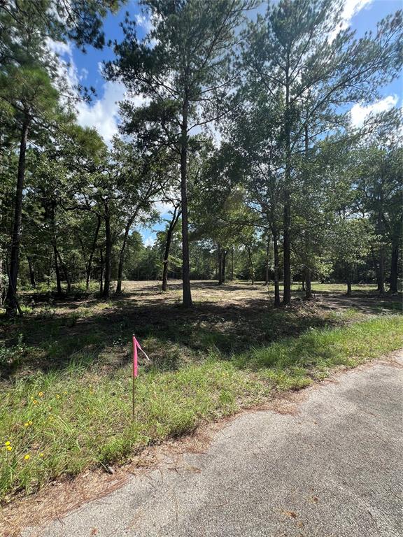 TBD Lot 2 Deerwood Drive , Plantersville, Texas image 4