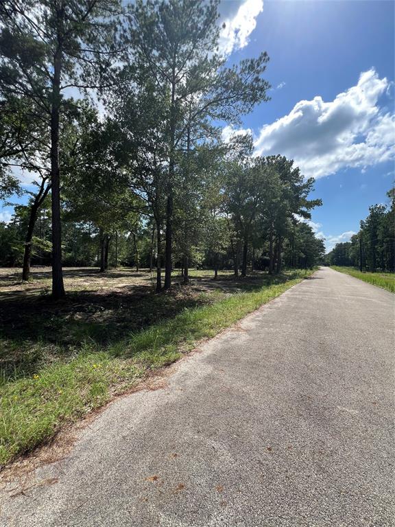 TBD Lot 2 Deerwood Drive , Plantersville, Texas image 5